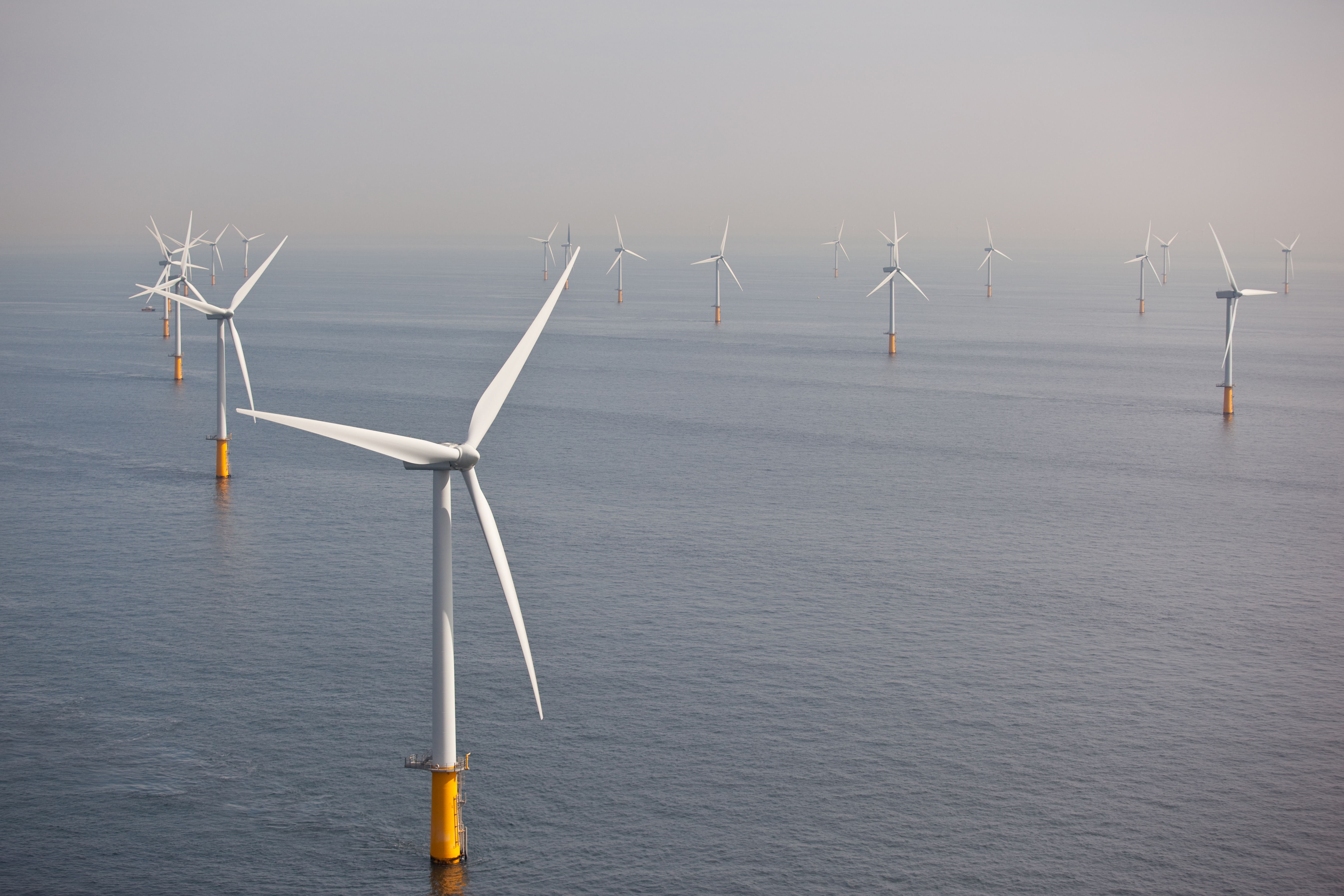 Large offshore wind turbines standing in calm sea water with multiple wind turbines visible across the horizon in a large-scale offshore wind farm supporting critical energy infrastructure.