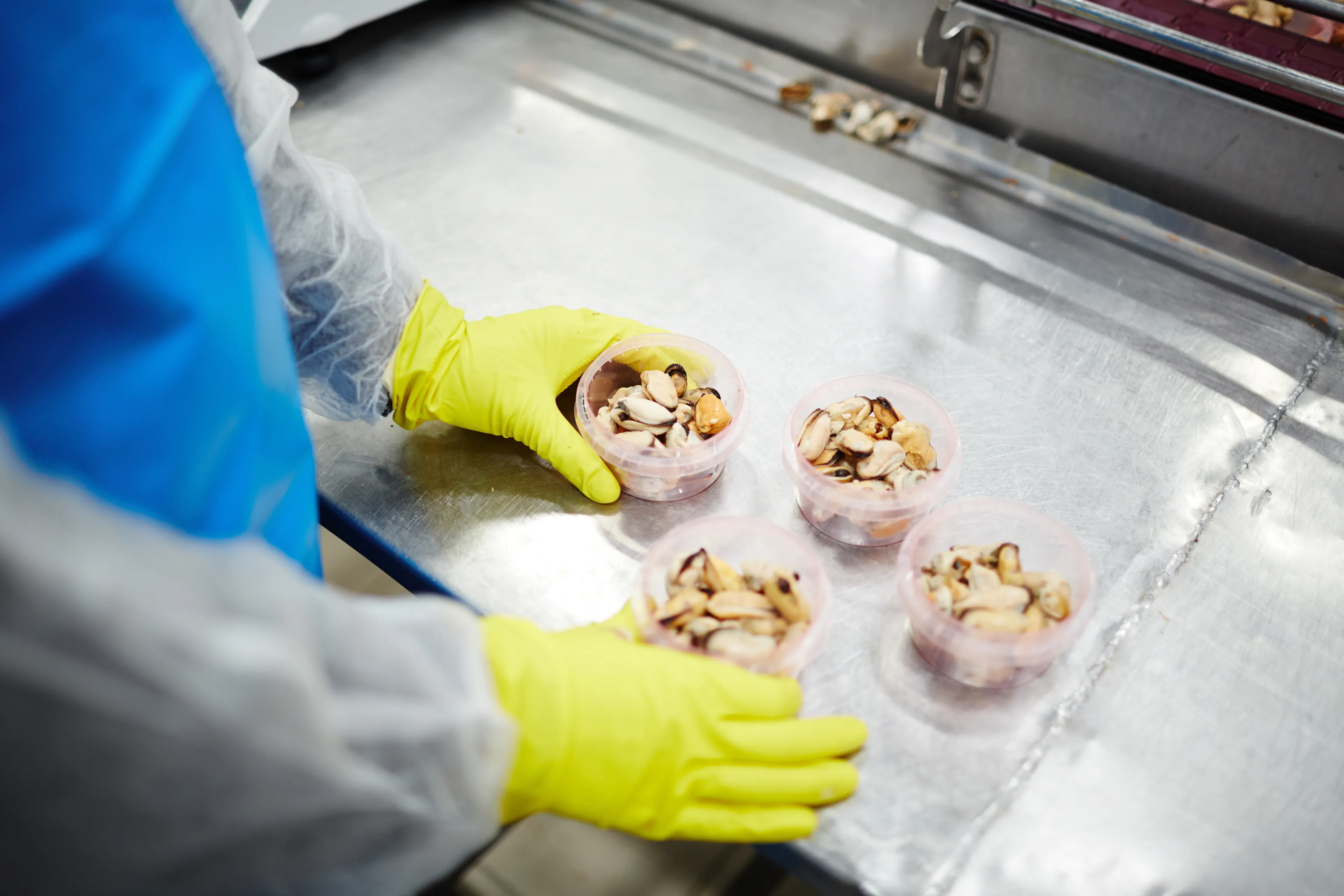 Production of canned seafood