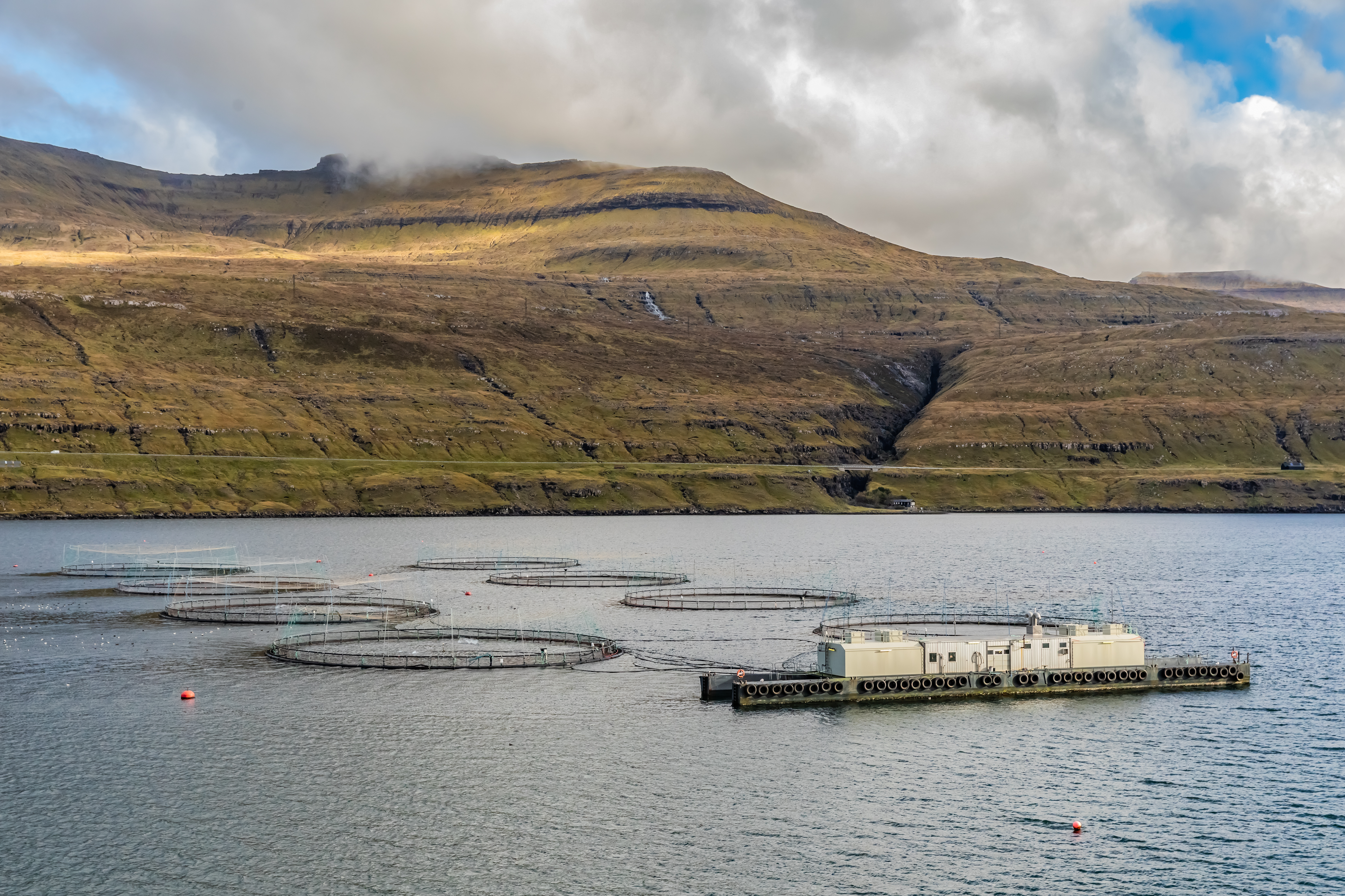 Offshore fish farm with circular cage structures and a floating service platform in a coastal fjord surrounded by steep hills.