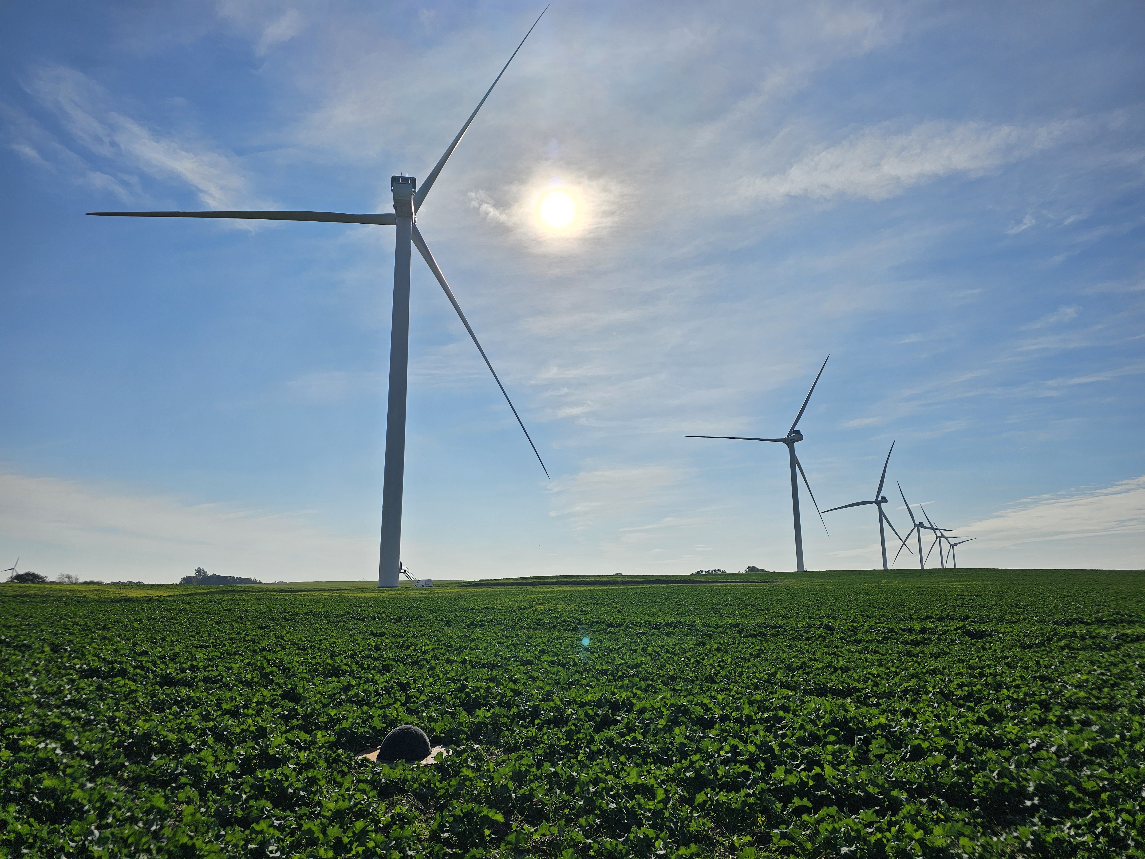 Measurement setup for documenting wind turbine noise from multiple wind turbines in outdoor conditions.